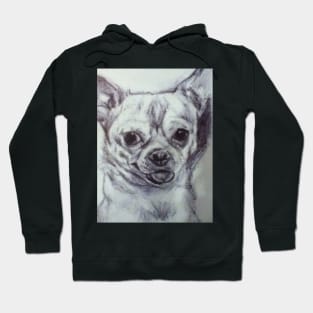 Doggy Hoodie